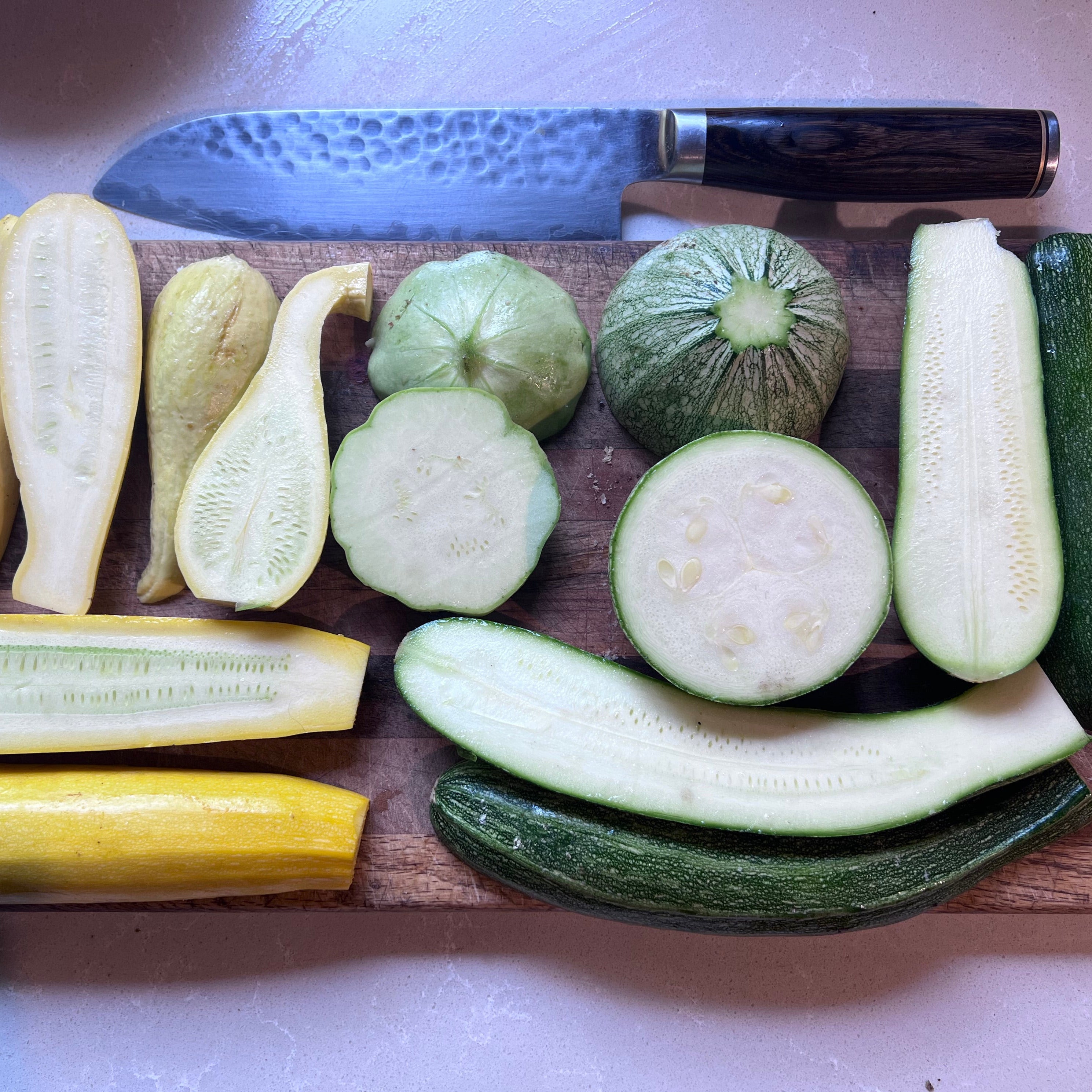 Zucchini, Compost Creature Mix Siskiyou Seeds