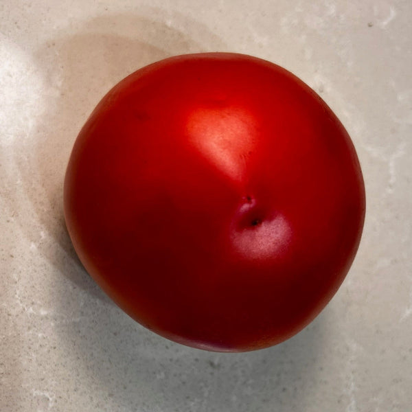 Tomato, California Early Girl