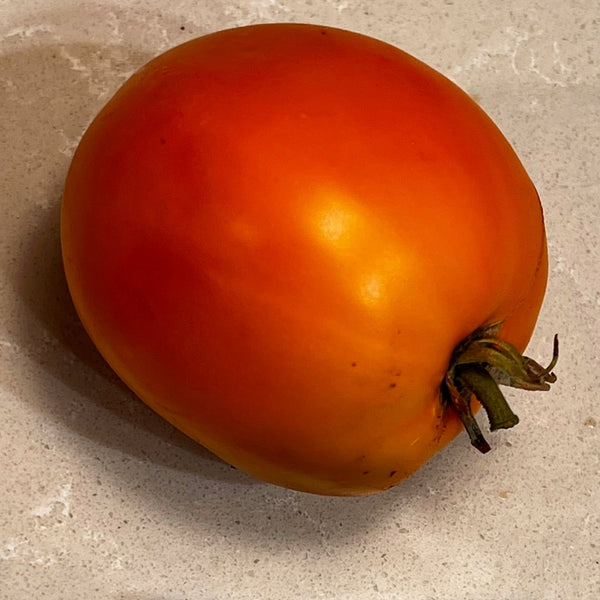 Tomato on a beige surface with a blue label reading 'Kanti's Cal Gold'.