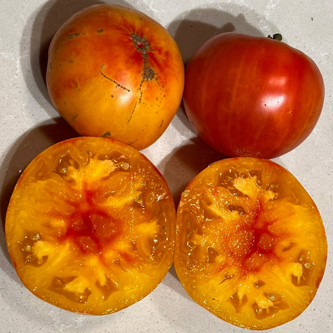 Tomato, Pineapple Rose