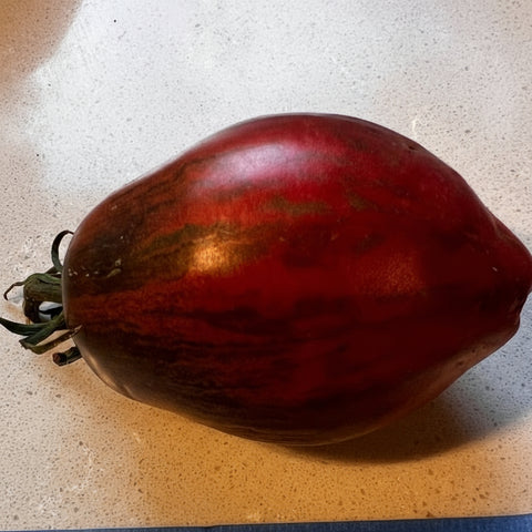 Tomato, Rebel Starfighter