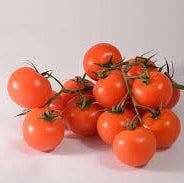 Tomato, Sweet Orange II