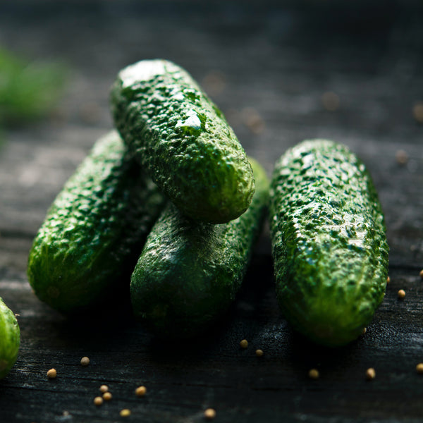 Cucumber, Snow’s Fancy