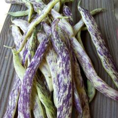 Beans, Dragon Tongue Wax