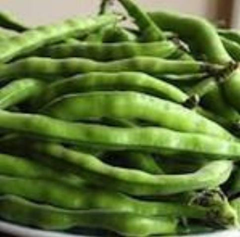 Beans, Fava, Ur kupina