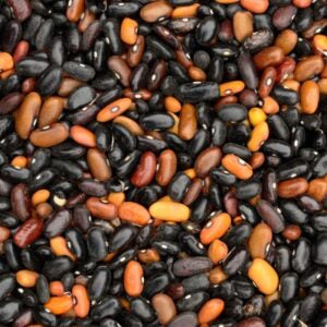Beans, Beefy Resiliant Grex