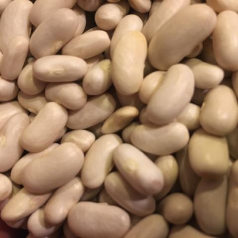 Beans, Cannellini