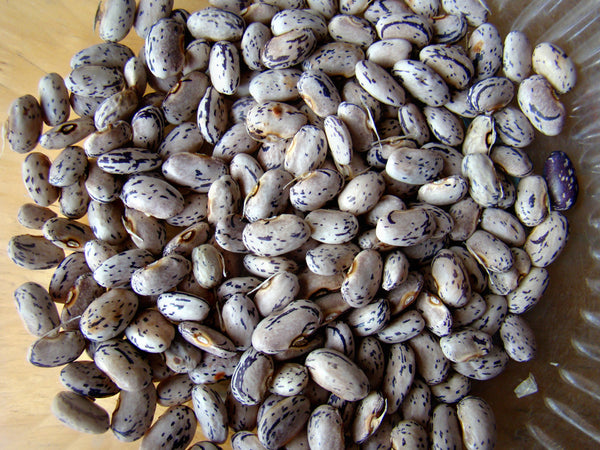 Beans, Dragon Tongue Wax