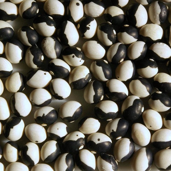 Beans, Orcabean