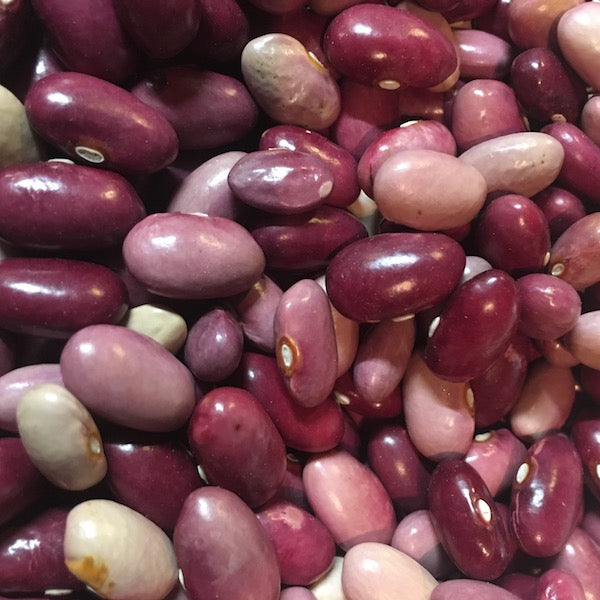 Beans, Zargana of Nestos, Pole