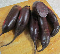 Beet, Forono | Siskiyou Seeds