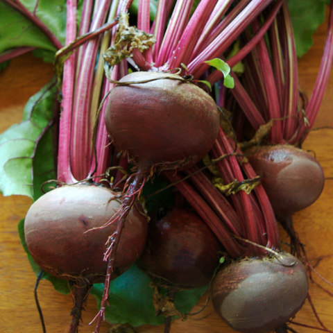 Beet, Detroit Dark Red