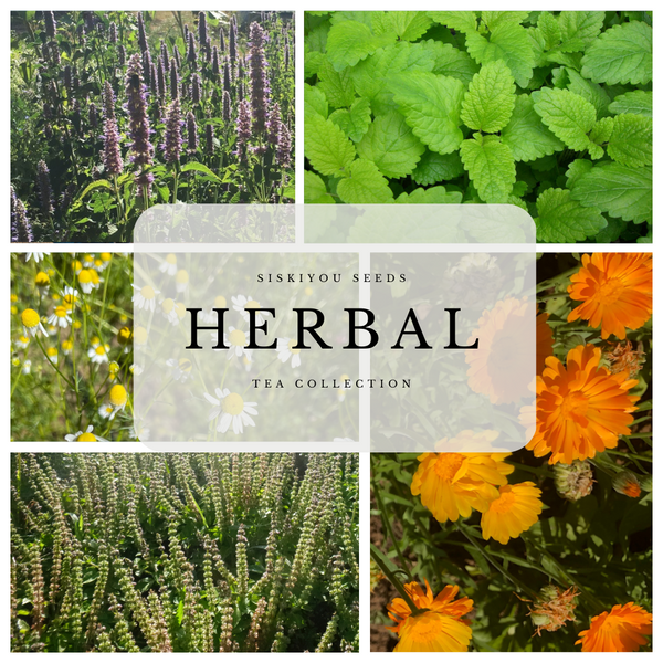 Herbal Tea Collection