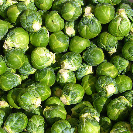Brussels Sprouts, Long Island Improved