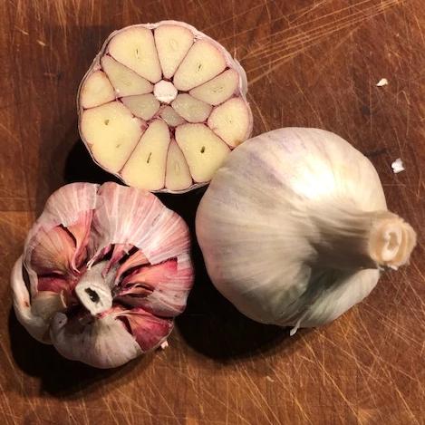 Garlic Sampler