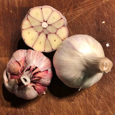 Garlic, Donostia Creole Red