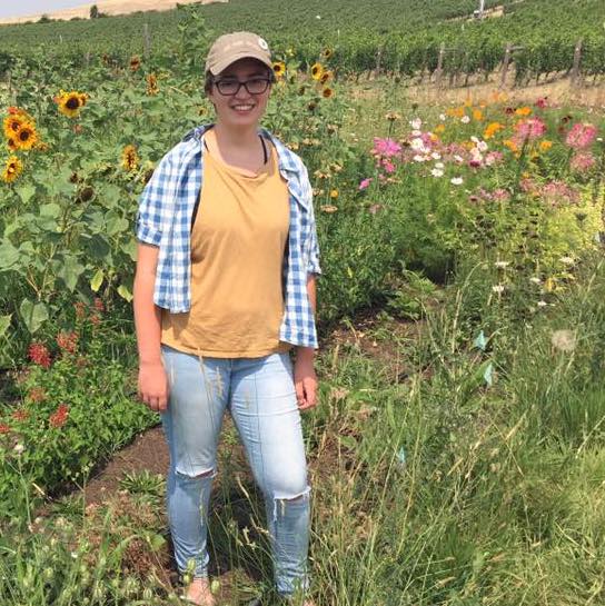 Pollinator Mix, Perennials