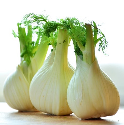 Fennel, Perfection