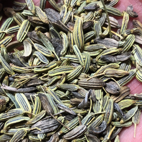 Fennel Seed