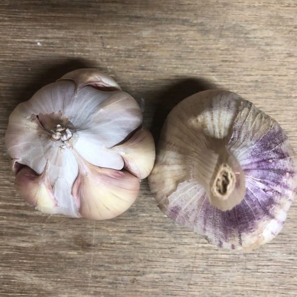 Garlic Sampler