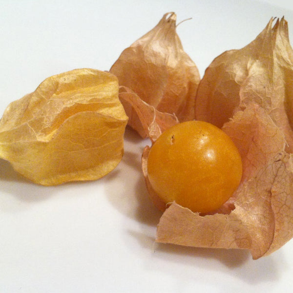 Organic-Non-GMO-Golden Berry / Inca Berry | Siskiyou Seeds