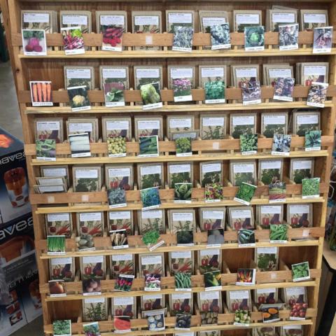 Overstock Seed Bargains!