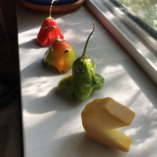 Pepper, Nepali