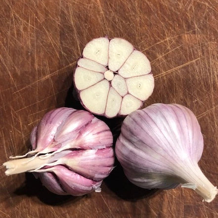 Garlic, Kishlyk