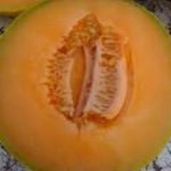 Melon, Delicious 51 PMR