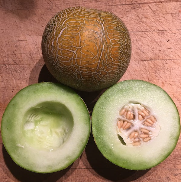 Galina Melon, organic, open pollinated