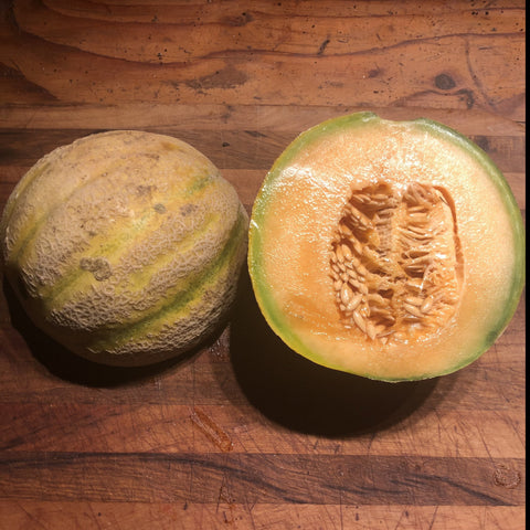 Melon, Iroquois