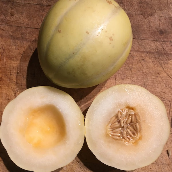 Swan Lake Melon, organic, open pollinated