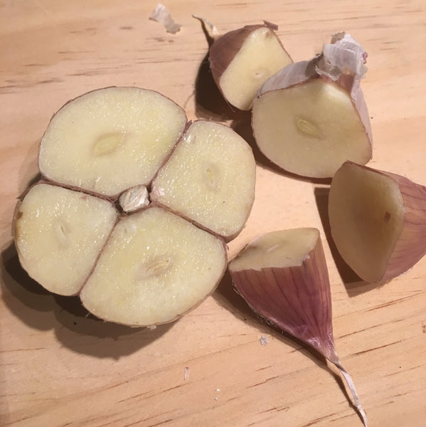 Garlic, Music