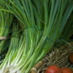 Onion, Evergreen Hardy Bunching
