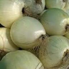 Onion, Siskiyou Sweet