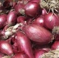 Onion, Cippola di Tropea
