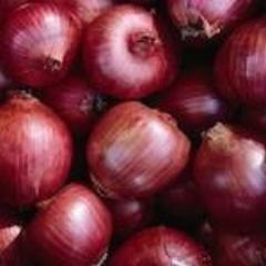 Onion, Rosa di Milano