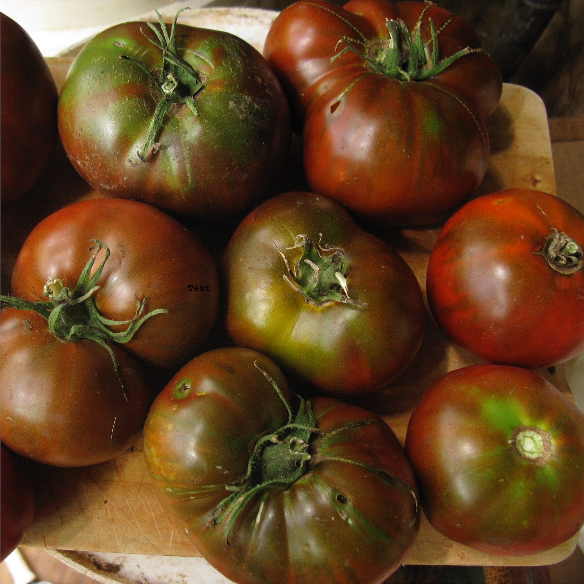 Heirloom Slicer Tomato Plants — Poe Run Craft & Provisions