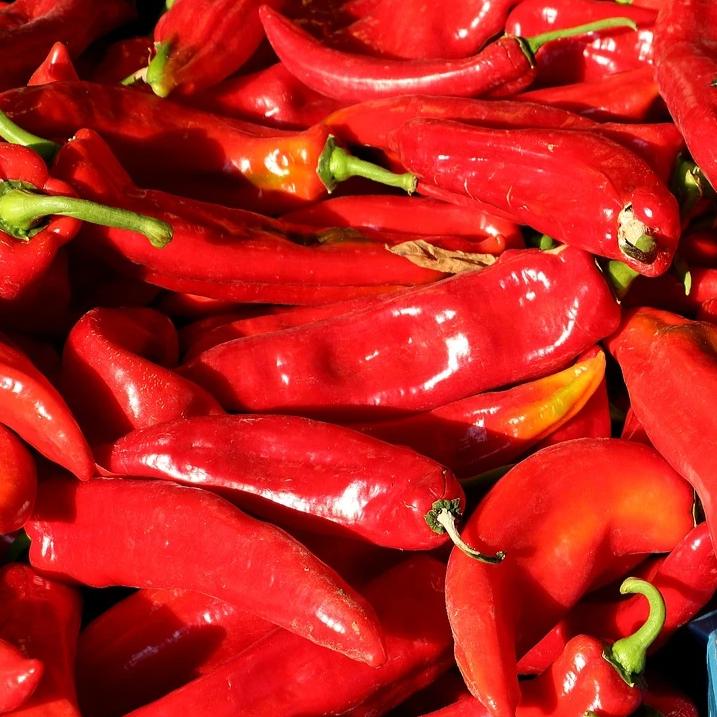 Pepper, Paprika Kalocsa | Siskiyou Seeds