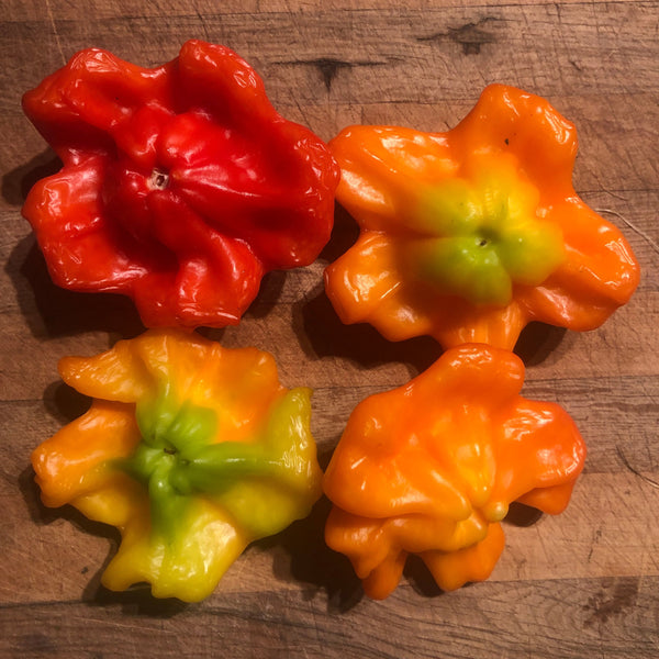 Pepper, Nepali