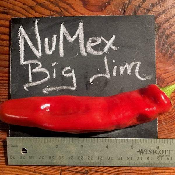 NuMex Big Jim Pepper, organic, open pollinated