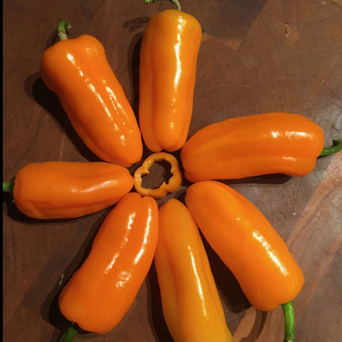  Orange Pepper – 6.5 oz : Patio, Lawn & Garden