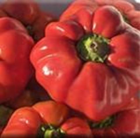 Pepper, Red Ruffled Pimento