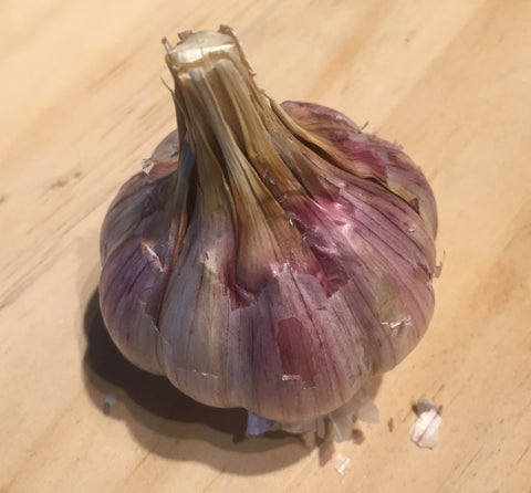 Garlic, Persian Star