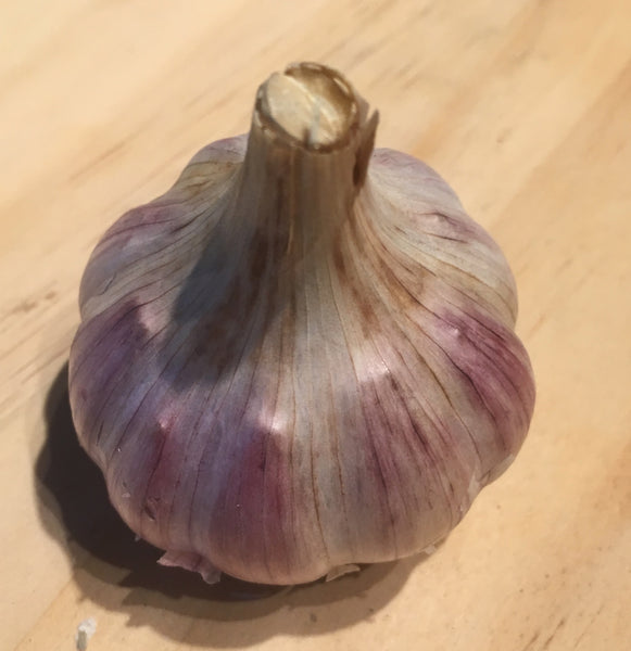 Garlic Sampler