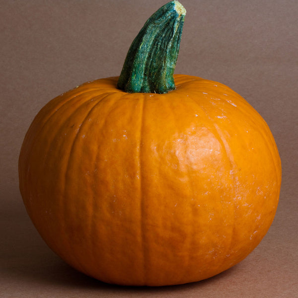 Pumpkin, Sugar Pie