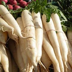 Radish, Daikon, Miyashige