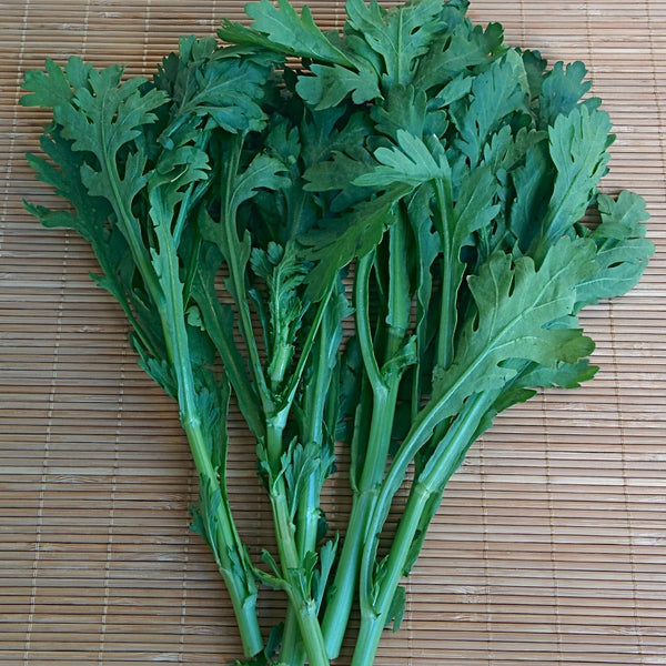 Shungiku, Edible Crysanthemum