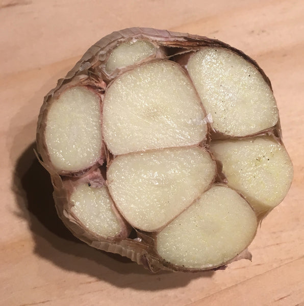 Garlic, Siskiyou Purple