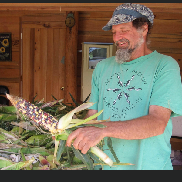 Corn, Festivity, Sweet